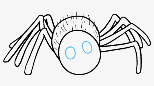 How To Draw Cartoon Spider - Spider Black And White Clipart, HD Png Download, Transparent PNG
