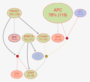 Diagram, HD Png Download, Transparent PNG