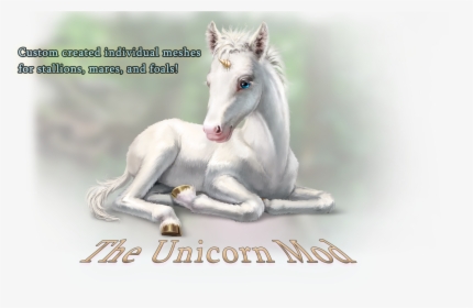 Bébé Licorne Réaliste, HD Png Download, Transparent PNG