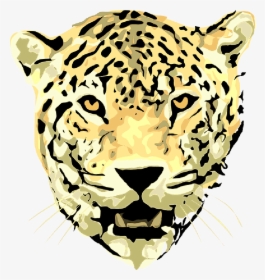 Scary Lion Pictures - Jaguar Vector Free, HD Png Download, Transparent PNG
