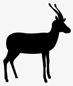 Deer Animal Silhouette Free - Silhouette Of A Deer, HD Png Download, Transparent PNG