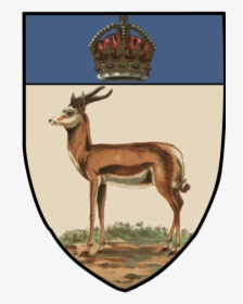 File - Orangerivercolonyarms - Orange River Colony Coat Of Arms, HD Png Download, Transparent PNG