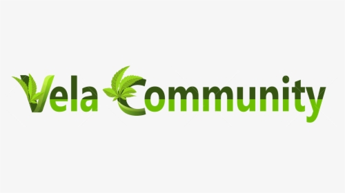 Vela Community - Graphic Design, HD Png Download, Transparent PNG