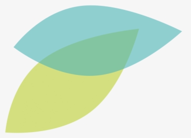Apple, HD Png Download, Transparent PNG