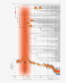 Diagram, HD Png Download, Transparent PNG