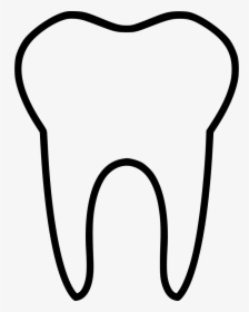Tooth, HD Png Download, Transparent PNG