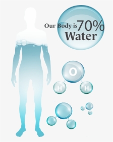 Transparent Blood In Water Png - Water Percent In Body Png, Png Download, Transparent PNG