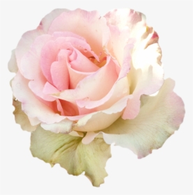 Pastel Flowers Png - Transparent Pale Pink Flowers, Png Download, Transparent PNG
