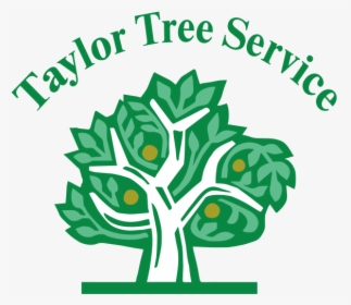Taylor Tree Service, HD Png Download, Transparent PNG