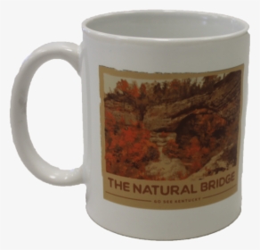 Beer Stein, HD Png Download, Transparent PNG