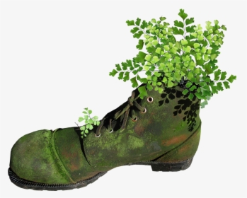 Boot, Old, Mossy, Planter, Fern, Garden, Novelty - Boot, HD Png Download, Transparent PNG