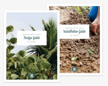 Product Planting Extras - Plantation, HD Png Download, Transparent PNG