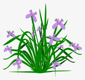 Free Clipart Plants Free Clipart Plants Plants Clip - Flower Small Plants Clipart, HD Png Download, Transparent PNG