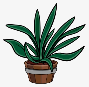 Club Penguin Rewritten Wiki - Agave, HD Png Download, Transparent PNG