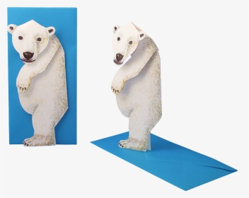Transparent Ice Bear Png - Polar Bear, Png Download, Transparent PNG