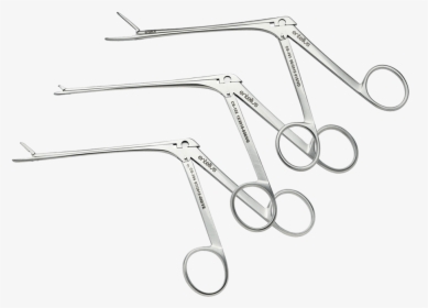 Forceps - Drawing, HD Png Download, Transparent PNG