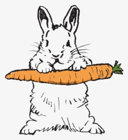 Bumbles Bunny Logo - Domestic Rabbit, HD Png Download, Transparent PNG
