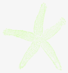 Single Starfish Clipart Png For Web - Fish Clip Art, Transparent Png, Transparent PNG