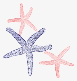 Starfish Prints Clip Art At Clker - Fish Clip Art, HD Png Download, Transparent PNG