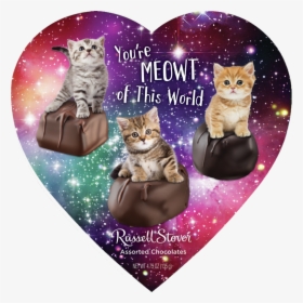Russell Stover Assorted Meme Hearts, - Domestic Short-haired Cat, HD Png Download, Transparent PNG