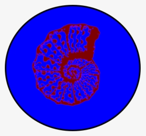 Circle, HD Png Download, Transparent PNG