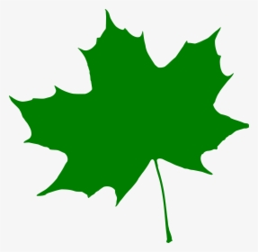 This Free Icons Png Design Of Silhouette Feuille - Jammu And Kashmir Leaves, Transparent Png, Transparent PNG