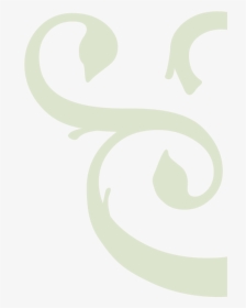Twig & Vine - Calligraphy, HD Png Download, Transparent PNG