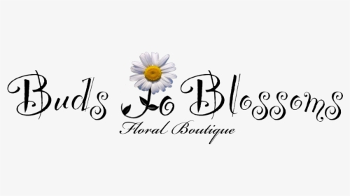 Buds To Blossoms Floral Boutique - Art Buzz Kids, HD Png Download, Transparent PNG