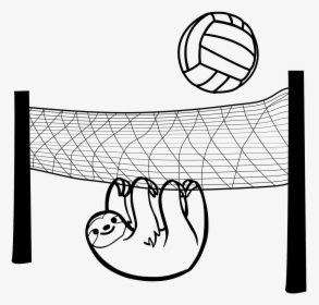 Sloth Volleyball Game Free Photo - Three Toed Sloth Drawing, HD Png Download, Transparent PNG
