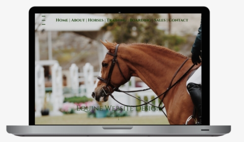 Ketamine Horse, HD Png Download, Transparent PNG
