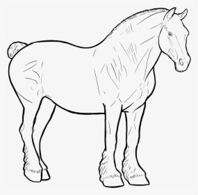 Mane, HD Png Download, Transparent PNG
