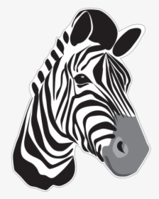 Zebra Head Png, Transparent Png, Transparent PNG