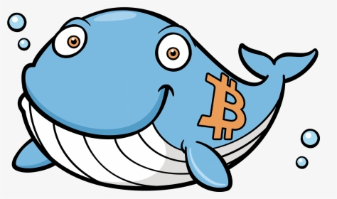 Blue Whale Cartoon Png, Transparent Png, Transparent PNG