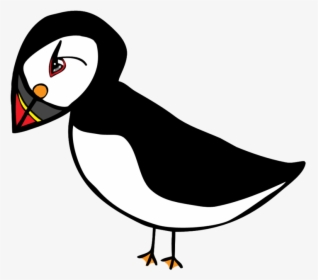 Cartoon Puffins - Puffin Clipart, HD Png Download, Transparent PNG