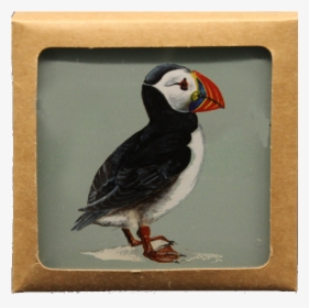 Puffin Coaster Giftset Webres 95pc Layer - Atlantic Puffin, HD Png Download, Transparent PNG