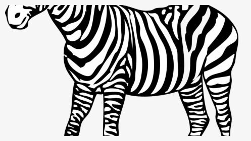 Transparent Zebra Head Clipart Black And White - Zebra Black And White Clipart, HD Png Download, Transparent PNG