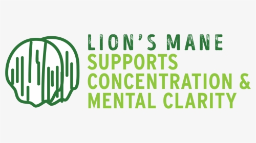 Lions Mane - Calligraphy, HD Png Download, Transparent PNG
