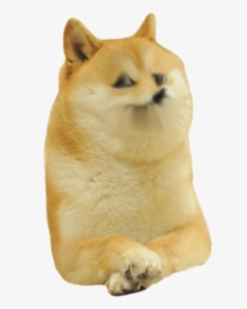 Transparent Doge Png, Png Download, Transparent PNG