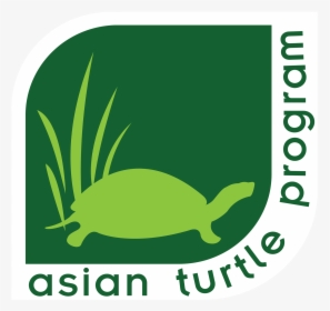 Asian Box Turtle, HD Png Download, Transparent PNG