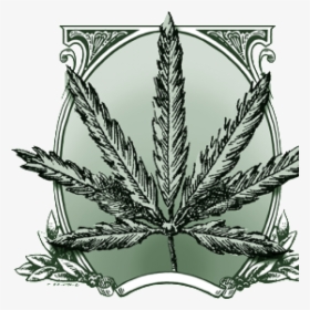 Illustration, HD Png Download, Transparent PNG