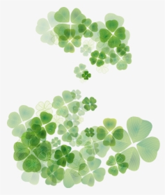 Lucky Clover Water Color , Png Download - Clover Leaf, Transparent Png, Transparent PNG