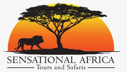 Logo - Safari Tours Logo, HD Png Download, Transparent PNG