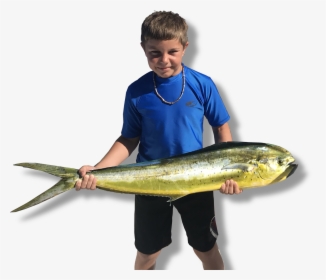 Family Friendly Fishing Charters - Sauries, HD Png Download, Transparent PNG