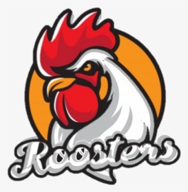 Roosters Transparent - Rooster, HD Png Download, Transparent PNG