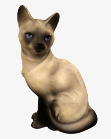 Siamese, HD Png Download, Transparent PNG