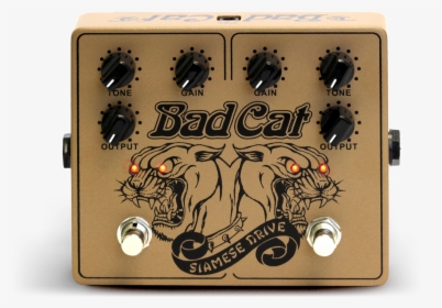 Bad Cat Siamese Drive, HD Png Download, Transparent PNG