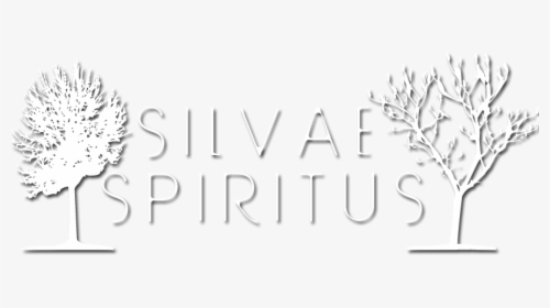Silvae Spiritus - Tree, HD Png Download, Transparent PNG