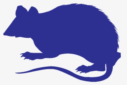 Rodent/ Wildlife - Pest Control, HD Png Download, Transparent PNG