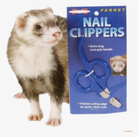 Marshall Ferret/rodent Nail Clippers - Furet Marshall, HD Png Download, Transparent PNG