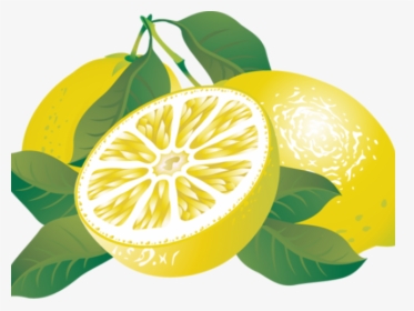 Transparent Lemon Clipart - Lemon Clipart Png Transparent, Png Download, Transparent PNG